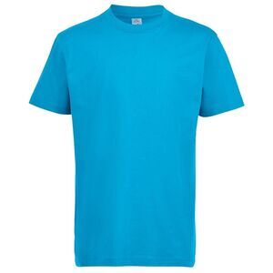SOLS Kids Unisex Imperial Heavy Cotton Short Sleeve T-Shirt / Aqua